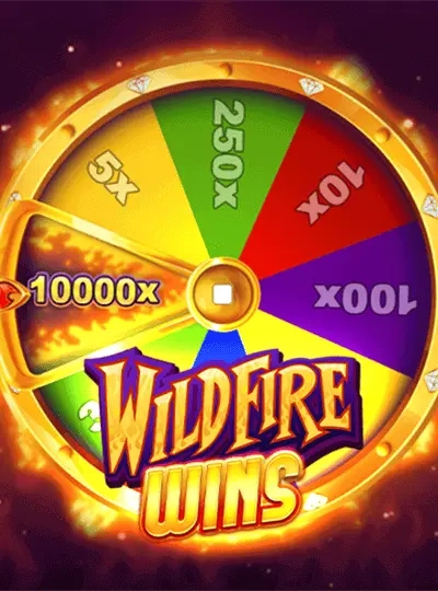 bmw333